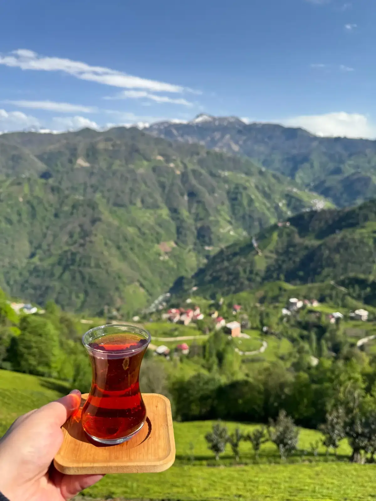 Pera Bungalov Kahvalti Sofrasi - Rize Yoresel Kahvalti