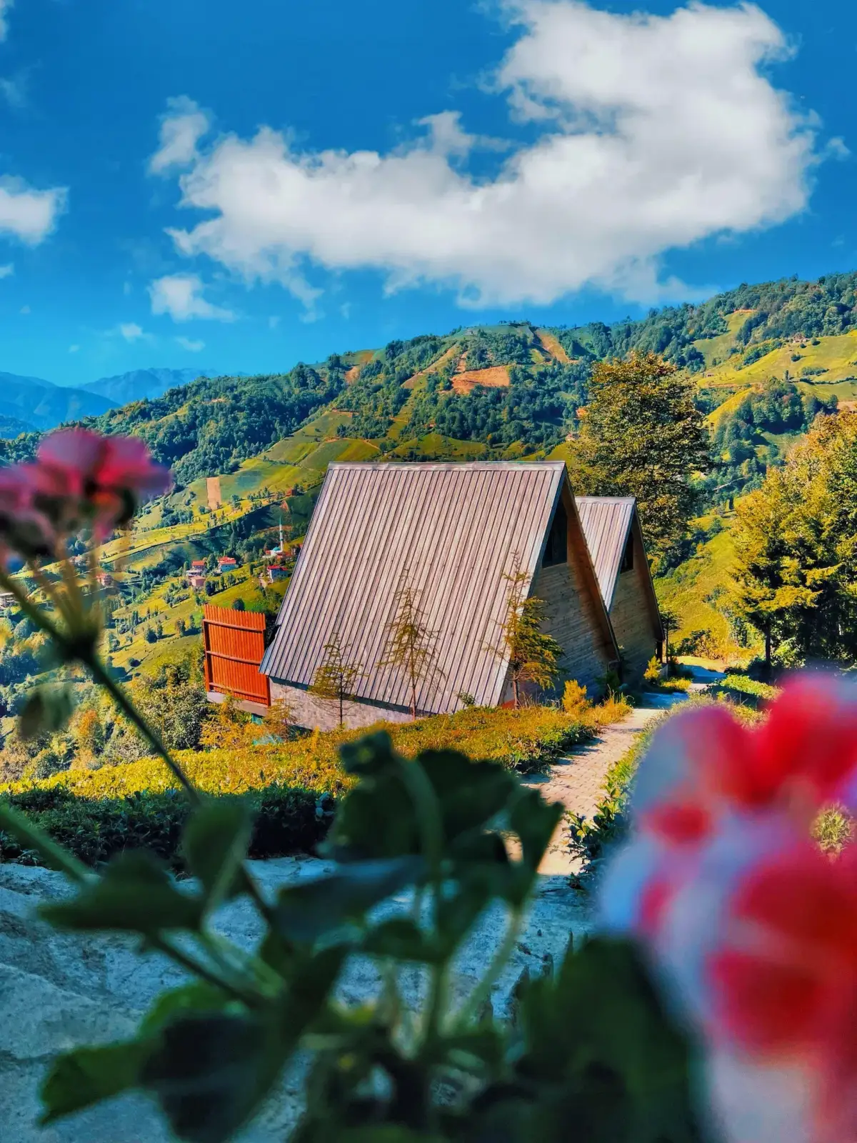 Pera Bungalov Bahce ve Doga Manzarasi - Rize Ardesen